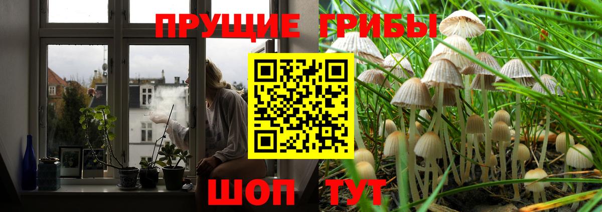 Псилоцибиновые грибы мицелий  Вход с VPN  Симферополь  купить   Псилоцибиновые грибы мицелий 
